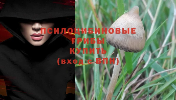 тгк Балахна