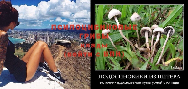 гидра Нефтегорск